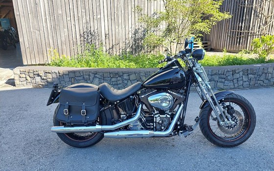 Gebrauchtmotorrad Harley-Davidson Softail Springer FXSTSI - Bild 1 Gebrauchtmotorrad Harley-Davidson Softail Springer FXSTSI - Bild 1