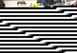 Gebrauchte BMW G 310 R