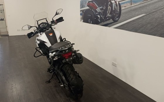 Neufahrzeug Benelli TRK 502 X - Bild 5