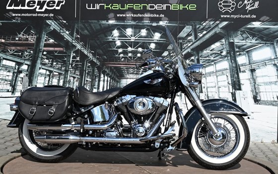 Gebrauchtmotorrad Harley-Davidson Softail Custom FXSTC - Bild 1