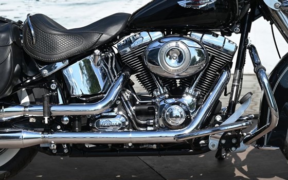 Gebrauchtmotorrad Harley-Davidson Softail Custom FXSTC - Bild 3