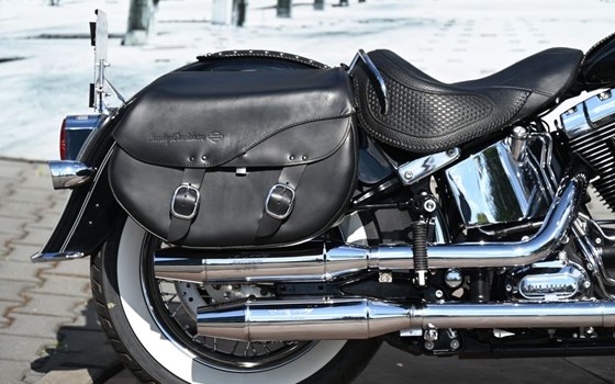 Gebrauchtmotorrad Harley-Davidson Softail Custom FXSTC - Bild 5