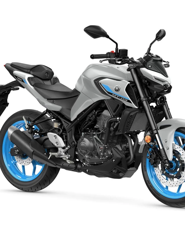Yamaha MT-03<br />Basisvariante