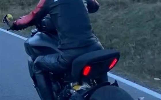 Gebrauchtmotorrad Ducati Diavel 1260 - Bild 11