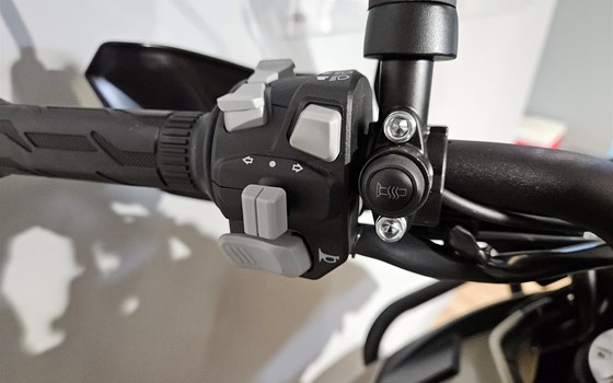 Neufahrzeug Benelli TRK 702 X - Bild 7