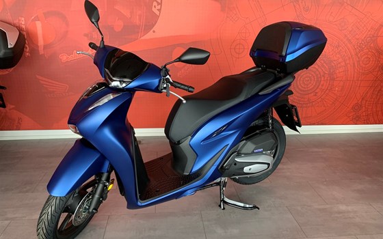 Neufahrzeug Honda SH125i - Bild 3 Neufahrzeug Honda SH125i - Bild 3