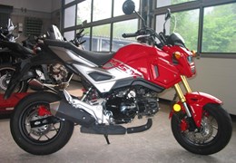 Gebrauchte Honda MSX 125