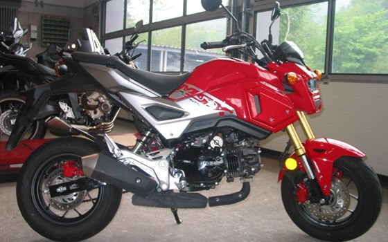 Gebrauchtmotorrad Honda MSX 125 - Bild 1