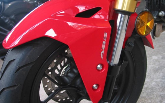 Gebrauchtmotorrad Honda MSX 125 - Bild 10