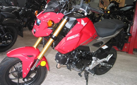 Gebrauchtmotorrad Honda MSX 125 - Bild 4