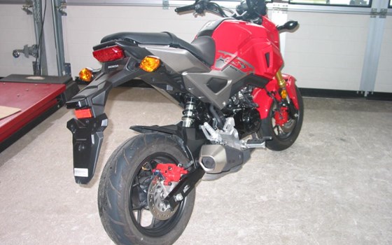 Gebrauchtmotorrad Honda MSX 125 - Bild 5