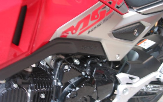 Gebrauchtmotorrad Honda MSX 125 - Bild 7