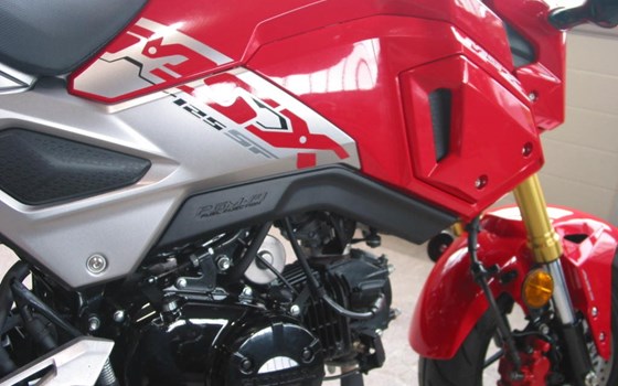 Gebrauchtmotorrad Honda MSX 125 - Bild 8