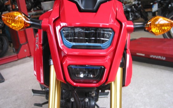 Gebrauchtmotorrad Honda MSX 125 - Bild 9