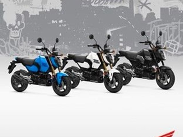 Neumotorrad Neumotorrad