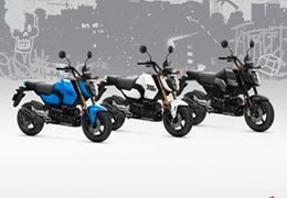 Gebrauchte Honda MSX125 Grom