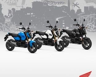 Gebrauchtmotorrad Honda MSX125 Grom - Bild 1