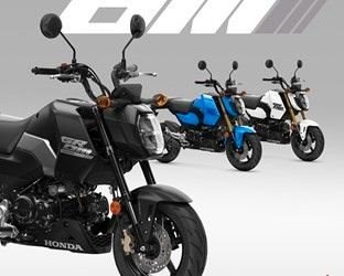 Gebrauchtmotorrad Honda MSX125 Grom - Bild 2