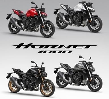 Neufahrzeug Honda CB1000 Hornet - Bild 1