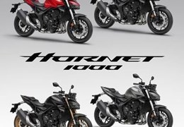 Neumotorrad Honda CB1000 Hornet