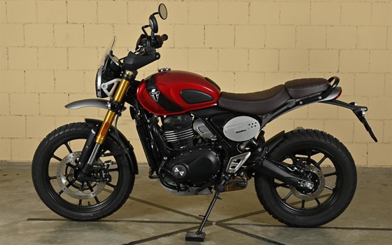 Motorrad Occasion Triumph Scrambler 400 X - Bild 4