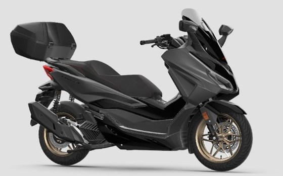 Neufahrzeug Honda Forza 125 - Bild 2