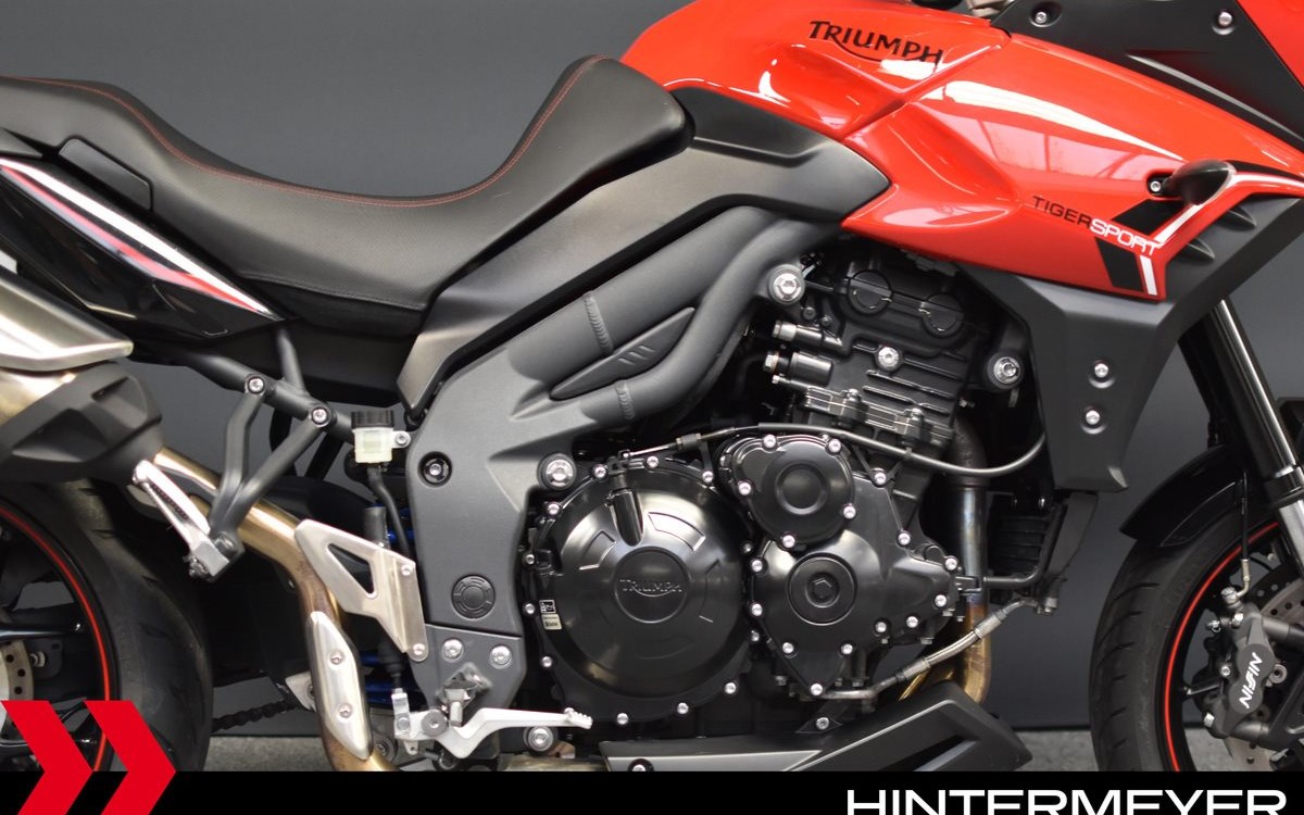 Angebot Triumph Tiger Sport