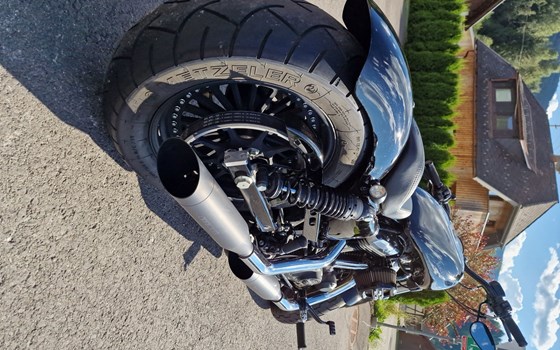 Gebrauchtmotorrad Harley-Davidson Sportster XL 1200X Forty-Eight - Bild 1 Gebrauchtmotorrad Harley-Davidson Sportster XL 1200X Forty-Eight - Bild 1
