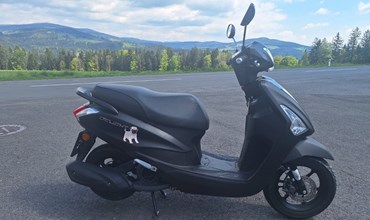 Yamaha D'elight