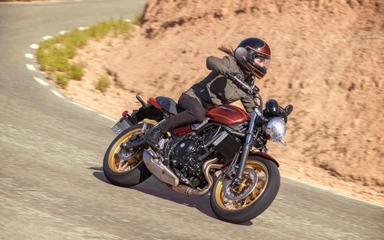 Neufahrzeug Kawasaki Z650 RS - Bild 6