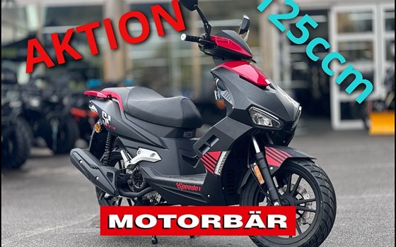 Neufahrzeug Speedex Overdrive 125i - Bild 1 Neufahrzeug Speedex Overdrive 125i - Bild 1