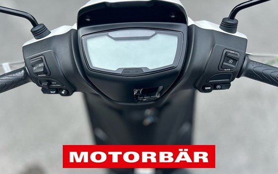 Neufahrzeug Piaggio 1 + - Bild 7 Neufahrzeug Piaggio 1 + - Bild 7