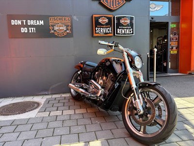 Foto des Bikes