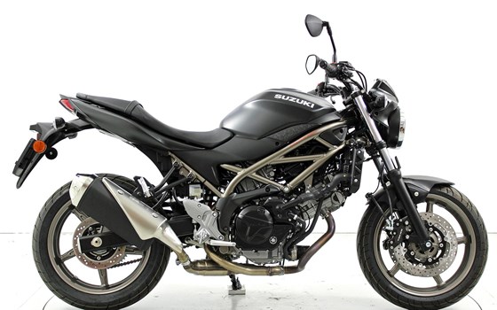 Neufahrzeug Suzuki SV650 - Bild 3