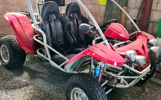 Gebrauchtmotorrad Quadix Renli Buggy 1100 - Bild 3