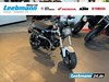 Honda Dax