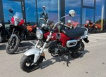 Angebot Honda Dax 125