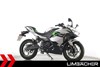 Kawasaki Ninja e-1