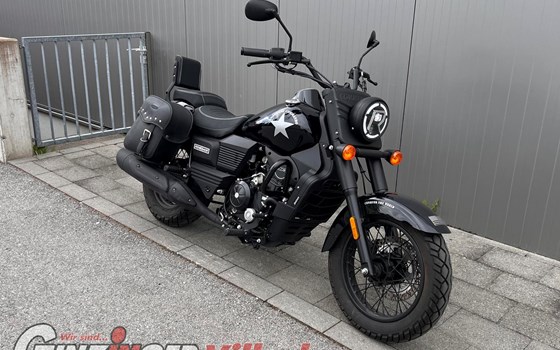 Gebrauchtmotorrad United Motors UM Renegade Commando 300 - Bild 1 Gebrauchtmotorrad United Motors UM Renegade Commando 300 - Bild 1