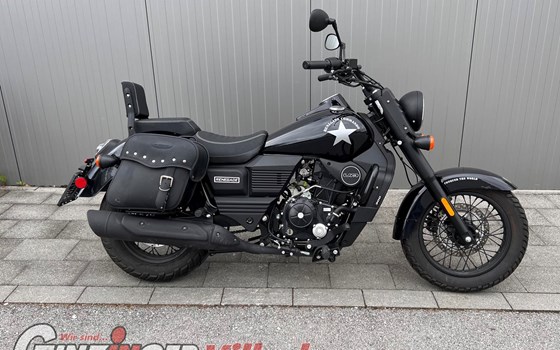 Gebrauchtmotorrad United Motors UM Renegade Commando 300 - Bild 3 Gebrauchtmotorrad United Motors UM Renegade Commando 300 - Bild 3