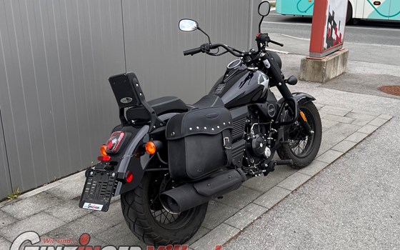 Gebrauchtmotorrad United Motors UM Renegade Commando 300 - Bild 4 Gebrauchtmotorrad United Motors UM Renegade Commando 300 - Bild 4