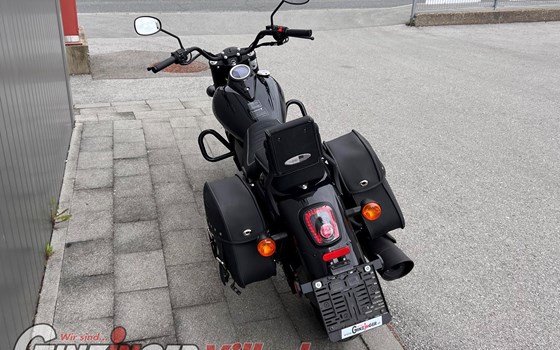 Gebrauchtmotorrad United Motors UM Renegade Commando 300 - Bild 8 Gebrauchtmotorrad United Motors UM Renegade Commando 300 - Bild 8