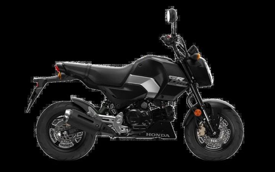 Neufahrzeug Honda MSX125 Grom - Bild 1