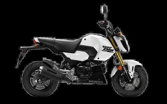 Neufahrzeug Honda MSX125 Grom - Bild 1