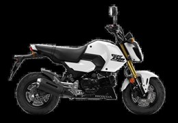 Neumotorrad Honda MSX125 Grom