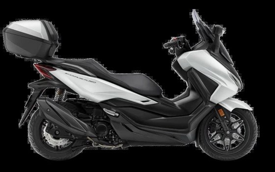 Neufahrzeug Honda Forza 350 - Bild 1