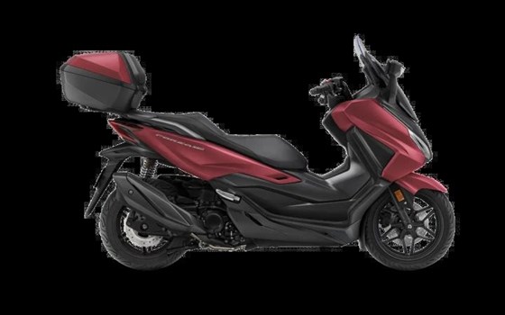 Neufahrzeug Honda Forza 350 - Bild 1