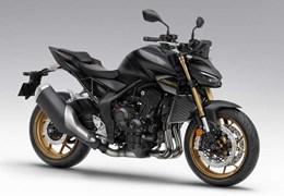 Neumotorrad Honda CB1000 Hornet SP