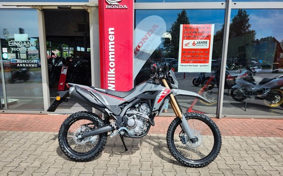 Neufahrzeug Honda CRF300L - Bild 1