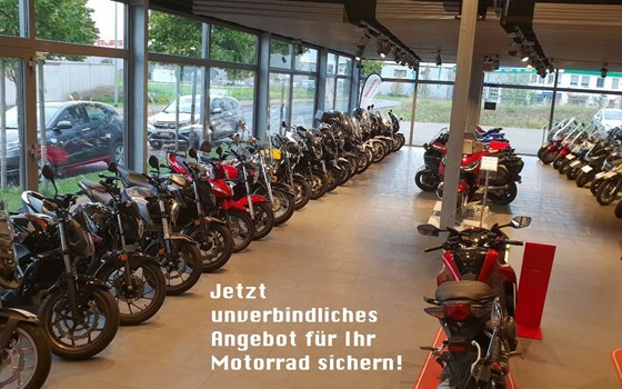 Neufahrzeug Honda CRF300L - Bild 5